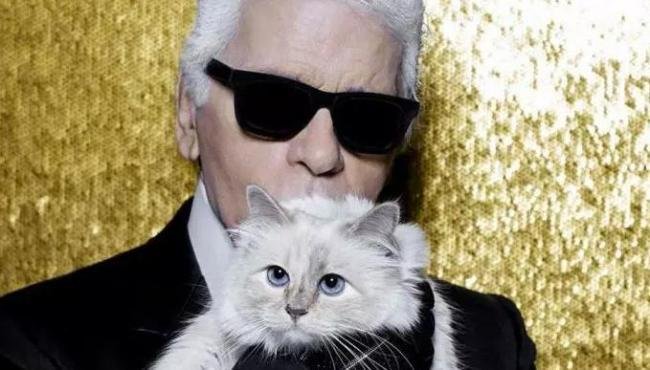 Karl Lagerfeld macskája örökölhet. Choupette 195 millió dollárt kaphat!